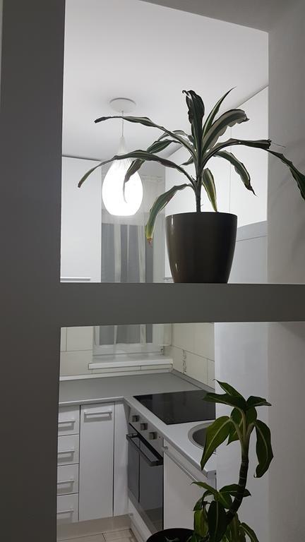 Cluj Lux Apartment Taberei Exteriér fotografie